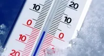 При якій температурі вмирають таргани температурі