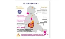 види