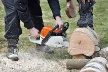 Застосування деревини як підібрати породу дерева під різні завдання підібрати