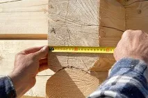 Това дърво Това дърво