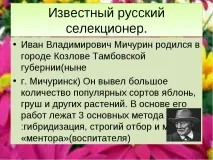 темата quot