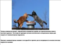 темата история