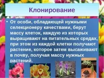 клас презентация