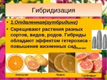растениевъдство биология