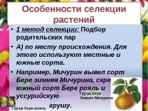темата презентация