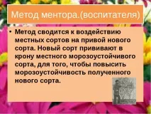 клас клас