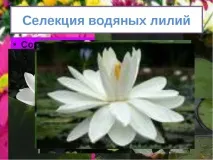 клас растениевъдство