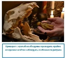 привороти