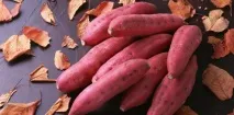 семена картофи
