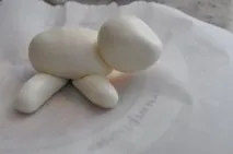 агнешко агнешко