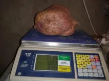 печеливш портал
