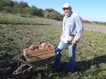 основният печеливш