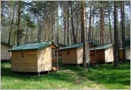 Берель