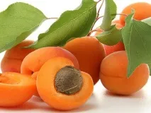 кураги