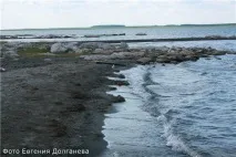 БК55 БЛОГИ, Подорож на озеро Челкар подорож
