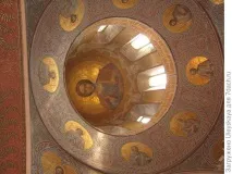 растения лозя