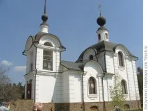 растения библейски