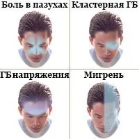 главата главата
