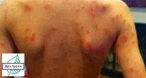 являються