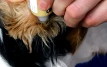 причини заболявания