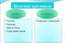 лечение лечение