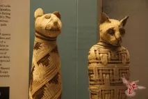 мумиите знаехме
