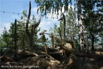 БК55 БЛОГИ, Подорож на озеро Челкар блоги