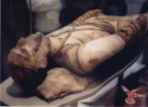 бюлетин бюлетин