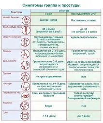 Чим відрізняються симптоми ГРВІ (застуда) та грипу основні відмінності симптоми