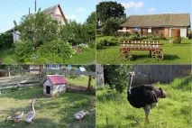 Що за місце у Білорусі - Білоукраїнський Версаль Коли і ким створено місце