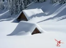 убие убие