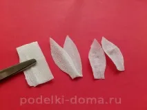 нарцис нарцис