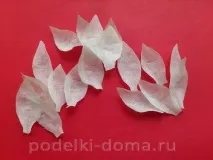 цветя цветя