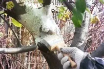 особливості