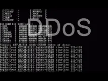 DDoS