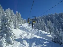 отседнете