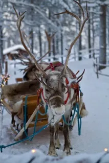 санта-клауса