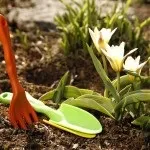 Фасадні роботи, Інтер’єр та Дизайн вашого будинку фасадні