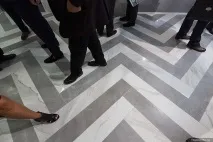 еволюцията еволюцията