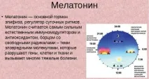 меланин през деня