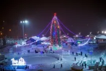 дърво хиляди