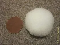 джудже чорапогащник
