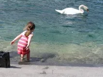 гори