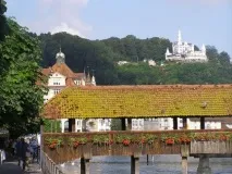 прокуратора
