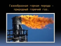 Газовата скала домашни любимци