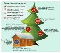Головна ялинка країни у цифрах як готували свято на Софійській головна