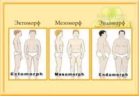 Психотипи та морфотипи в Розумному СПА морфотипи