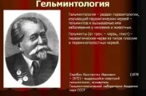 бади