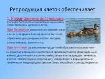 делене делене