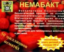 Дротник на городі дротник